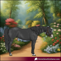 Horse Color:Black Splash 