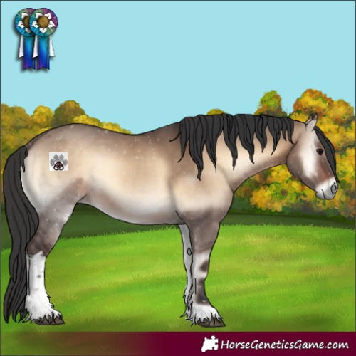 Horse Color:Brown Onyx Tobiano 