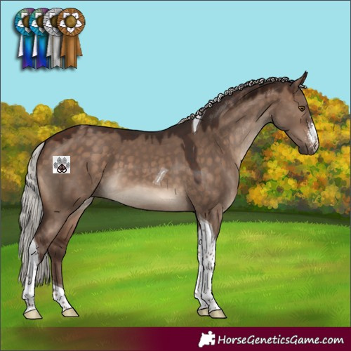 Horse Color:Silver Brown Dun Sabino Tobiano 