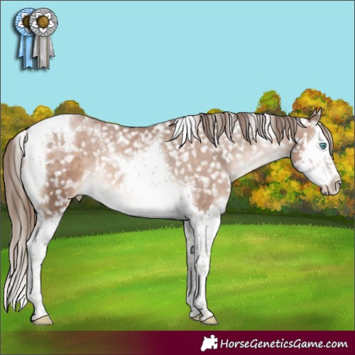 Horse Color:Brown Pearl Mushroom Splash Tobiano Appaloosa 