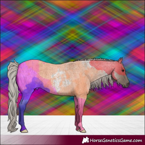Horse Color:Silver Grullo Roan 