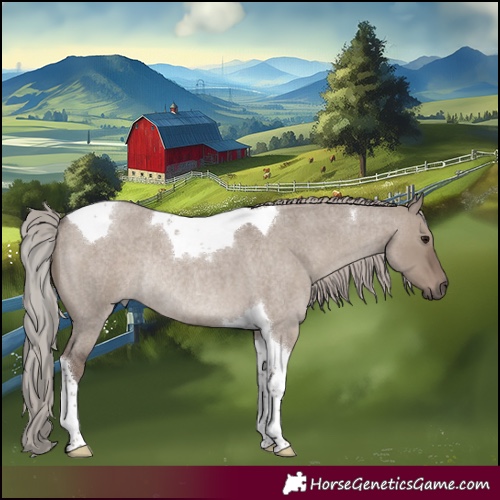 Horse Color:Silver Grullo Roan Tobiano Rabicano 