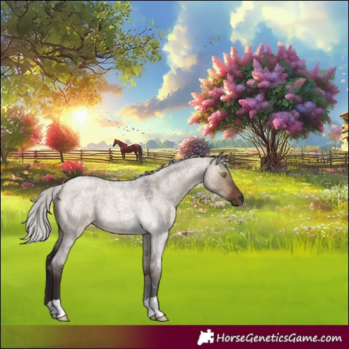 Horse Color:Silver Brown Roan Dun 