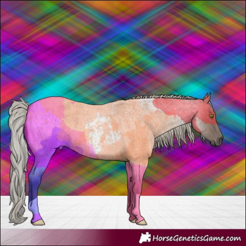 Horse Color:Silver Grullo Roan 