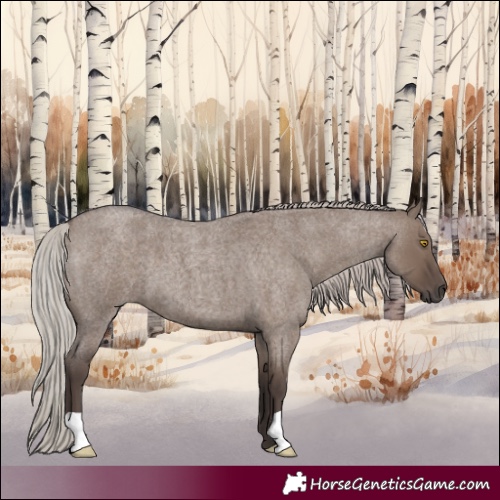Horse Color:Silver Grullo Roan 