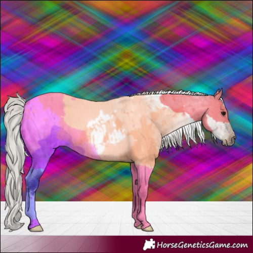 Horse Color:White Spotted Silver Grullo Roan 