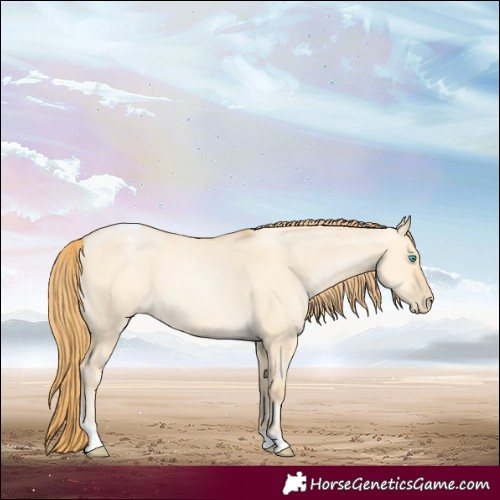Horse Color:Buckskin Pearl Dun Tobiano