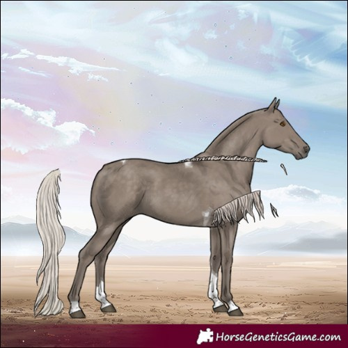 Horse Color:Silver Grullo Tobiano 