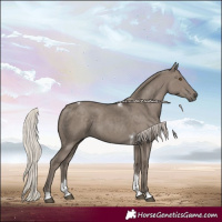Horse Color:Silver Grullo Tobiano