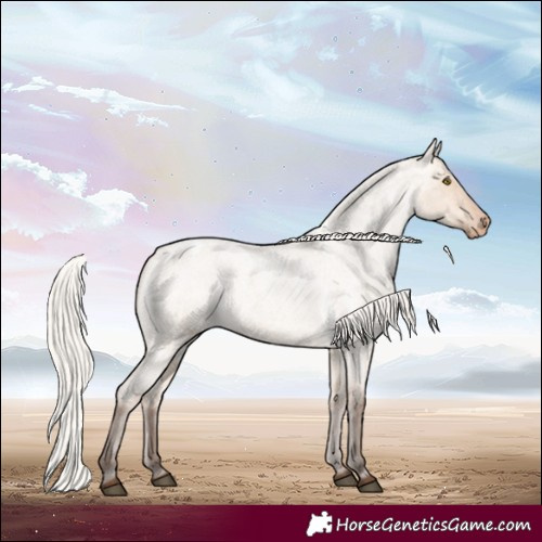 Horse Color:Silver Bay Roan Dun Varnish Rabicano 