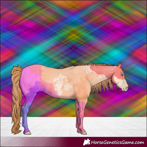 Horse Color:Buckskin Pearl Dun 