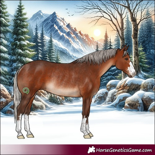 Horse Color:Silver Brown Rabicano 