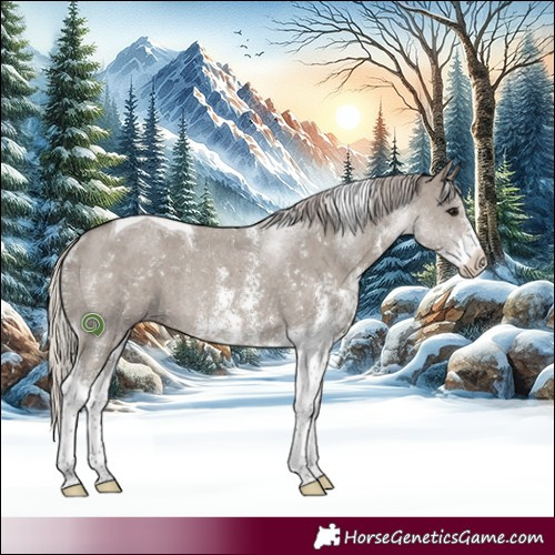 Horse Color:Silver Grullo Sabino Tobiano Rabicano