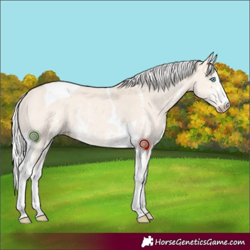 Horse Color:Silver Perlino Sabino Tobiano