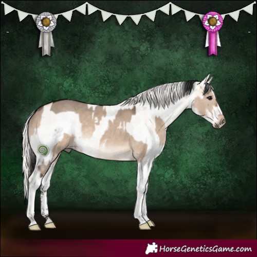 Horse Color:Brown Dun Tobiano Rabicano  and Silver Buckskin Pearl Dun Sabino Rabicano 