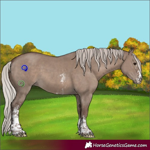 Horse Color:Silver Grullo Sabino 