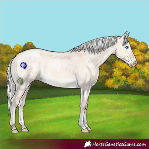 Horse Color:Silver Smoky Creme Dun Sabino Rabicano 