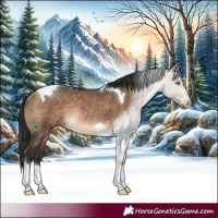 Horse Color:Brown Dun Sabino Tobiano Rabicano