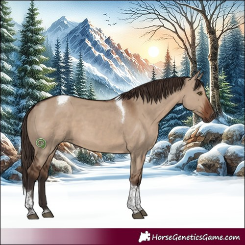 Horse Color:Liver Red Dun Tobiano Rabicano