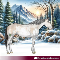 Horse Color:White Spotted Brown Dun Sabino Rabicano