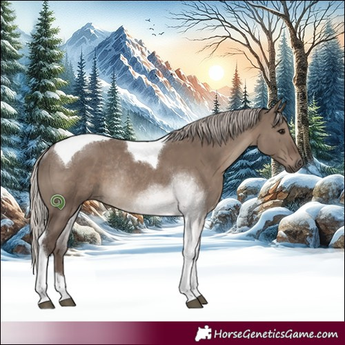 Horse Color:Silver Grullo Tobiano Rabicano