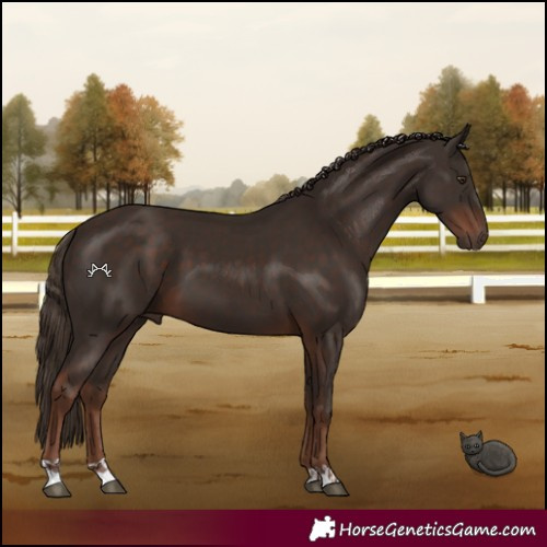 Horse Color:Liver Chestnut  and Liver Chestnut 