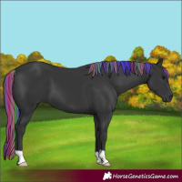 Horse Color:Painted Black 
