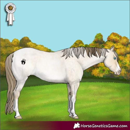 Horse Color:White Spotted Buckskin Roan Pearl Dun Rabicano 