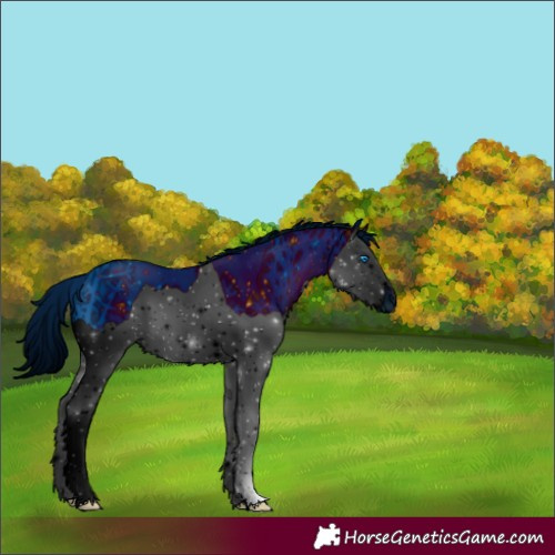 Horse Color:ERROR: UNKNOWN ANOMALY