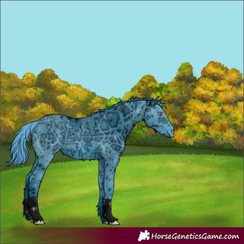 Horse Color:ERROR: UNKNOWN ANOMALY