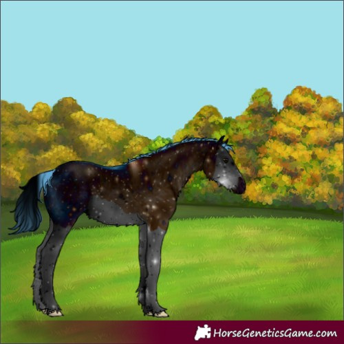 Horse Color:ERROR: UNKNOWN ANOMALY