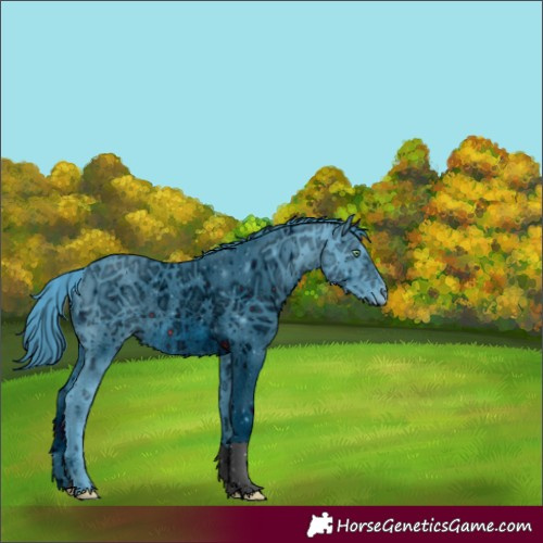 Horse Color:ERROR: UNKNOWN ANOMALY