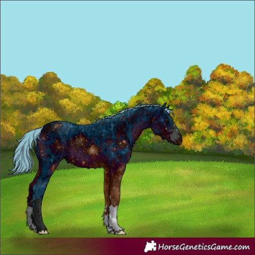 Horse Color:ERROR: UNKNOWN ANOMALY