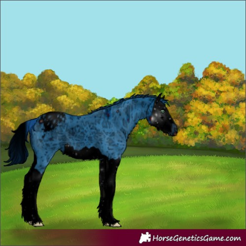 Horse Color:ERROR: UNKNOWN ANOMALY