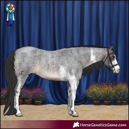 Horse Color:Brown Roan Sabino 
