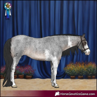Horse Color:Brown Roan Sabino