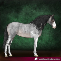 Horse Color:Brown Roan Sabino 