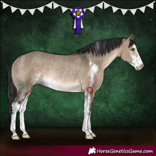 Horse Color:Brown Dun Sabino Rabicano