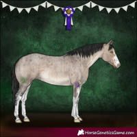 Horse Color:Brown Roan Dun Sabino Brindle