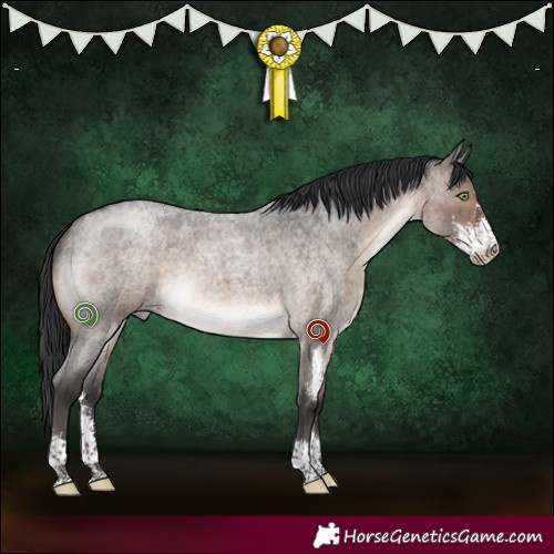 Horse Color:Brown Roan Dun Mushroom Sabino Brindle 