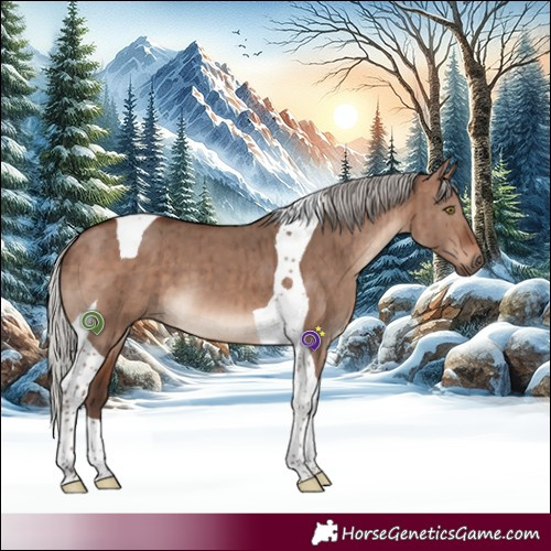 Horse Color:Silver Brown Dun Mushroom Tobiano Brindle 