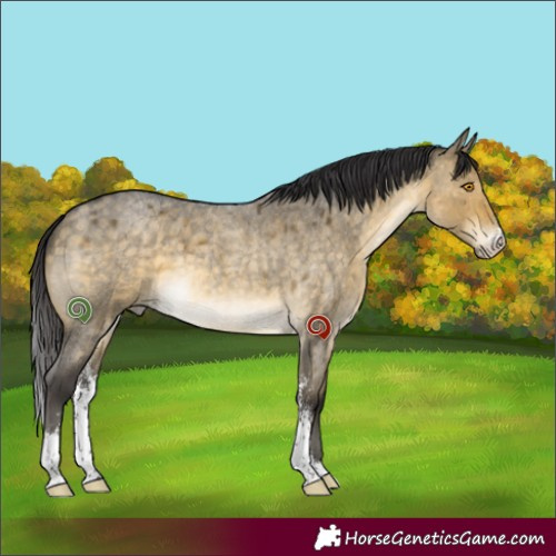 Horse Color:Buckskin Roan Dun Mushroom Sabino Brindle 