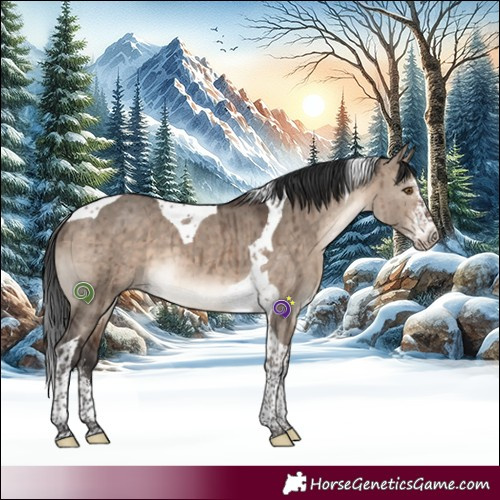 Horse Color:Brown Dun Mushroom Sabino Tobiano Brindle