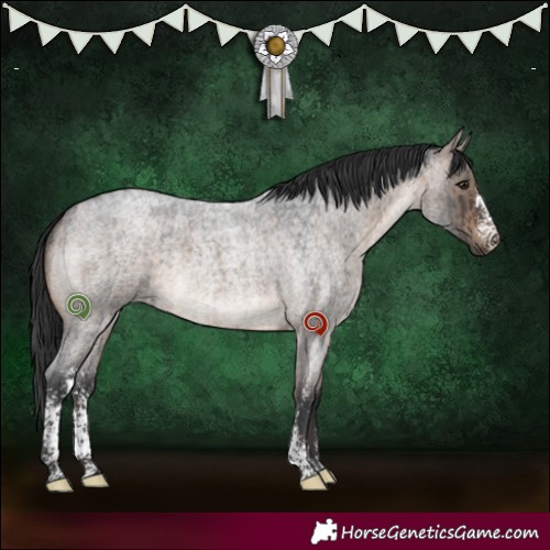 Horse Color:Brown Roan Dun Sabino Brindle 