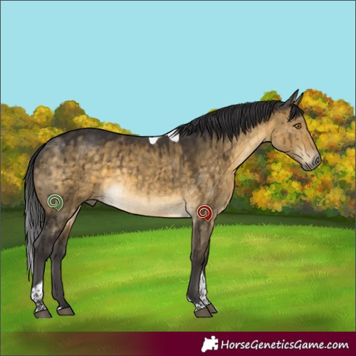 Horse Color:White Spotted Buckskin Dun Tobiano Brindle