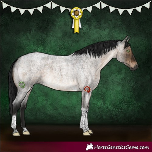 Horse Color:Gray Brown Roan Dun Tobiano Brindle