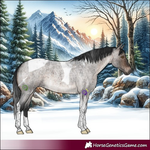 Horse Color:Brown Roan Dun Mushroom Tobiano Brindle 