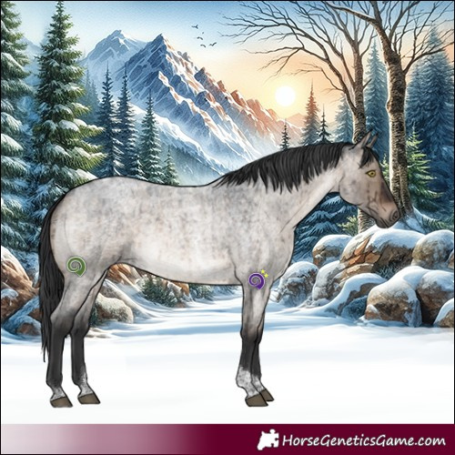 Horse Color:Brown Roan Dun Tobiano Brindle 