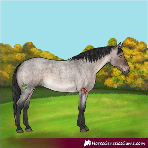 Horse Color:Brown Roan Dun Mushroom