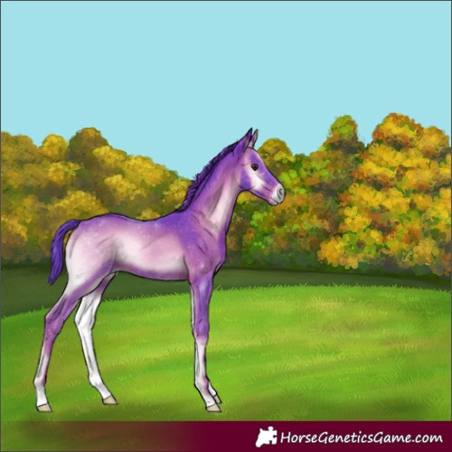 Horse Color:Watercolor Red Onyx 